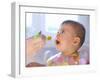 Baby Being Fed Baby Food-null-Framed Photographic Print