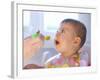 Baby Being Fed Baby Food-null-Framed Photographic Print