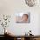 Baby Being Fed Baby Food-null-Mounted Photographic Print displayed on a wall