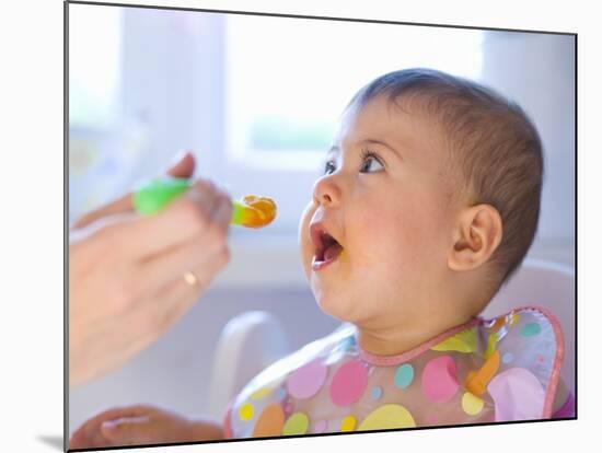 Baby Being Fed Baby Food-null-Mounted Photographic Print