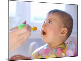 Baby Being Fed Baby Food-null-Mounted Photographic Print