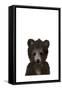 Baby Black Bear-Leah Straatsma-Framed Stretched Canvas