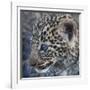 Baby Blue Eyed Leopard Masai Mara, Kenya Africa-Darrell Gulin-Framed Photographic Print