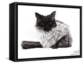 Baby Blue Eyes,2015-Vincent Alexander Booth-Framed Stretched Canvas