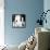 Baby Blue-Cristina Salas Mendoza-Framed Stretched Canvas displayed on a wall