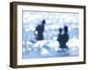 Baby Boom-Cristina Salas Mendoza-Framed Photographic Print