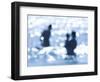 Baby Boom-Cristina Salas Mendoza-Framed Photographic Print