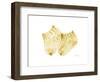 Baby Booties-Albert Koetsier-Framed Premium Giclee Print