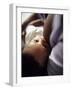 Baby Boy Breastfeeding-Ian Boddy-Framed Photographic Print