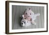 Baby Boy on Bear Rug-null-Framed Photographic Print