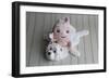 Baby Boy on Bear Rug-null-Framed Photographic Print