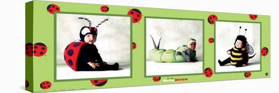 Baby Bugs-Tom Arma-Stretched Canvas