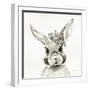 Baby Bunny with Crown-Yvette St. Amant-Framed Art Print