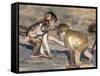 Baby Chacma Baboons (Papio Cynocephalus Ursinus), Playfighting, Kruger National Park, South Africa-Ann & Steve Toon-Framed Stretched Canvas