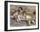 Baby Chacma Baboons (Papio Cynocephalus Ursinus), Playfighting, Kruger National Park, South Africa-Ann & Steve Toon-Framed Photographic Print