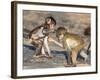 Baby Chacma Baboons (Papio Cynocephalus Ursinus), Playfighting, Kruger National Park, South Africa-Ann & Steve Toon-Framed Photographic Print