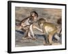 Baby Chacma Baboons (Papio Cynocephalus Ursinus), Playfighting, Kruger National Park, South Africa-Ann & Steve Toon-Framed Photographic Print