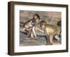 Baby Chacma Baboons (Papio Cynocephalus Ursinus), Playfighting, Kruger National Park, South Africa-Ann & Steve Toon-Framed Photographic Print