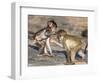 Baby Chacma Baboons (Papio Cynocephalus Ursinus), Playfighting, Kruger National Park, South Africa-Ann & Steve Toon-Framed Photographic Print