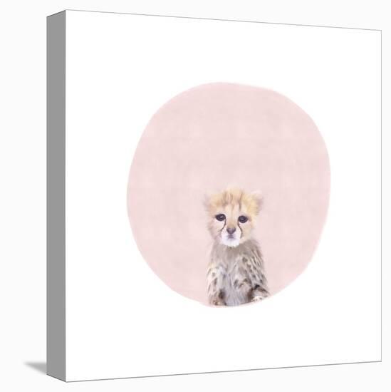Baby Cheetah Pink-Leah Straatsma-Stretched Canvas