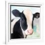 Baby Cow-Kimberly Allen-Framed Art Print