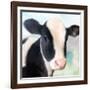 Baby Cow-Kimberly Allen-Framed Art Print