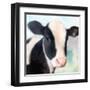 Baby Cow-Kimberly Allen-Framed Art Print