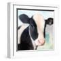 Baby Cow-Kimberly Allen-Framed Art Print
