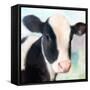 Baby Cow-Kimberly Allen-Framed Stretched Canvas