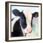 Baby Cow-Kimberly Allen-Framed Art Print