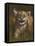 Baby Cub-Michael Jackson-Framed Stretched Canvas