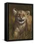 Baby Cub-Michael Jackson-Framed Stretched Canvas