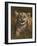 Baby Cub-Michael Jackson-Framed Giclee Print