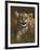 Baby Cub-Michael Jackson-Framed Premium Giclee Print