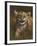 Baby Cub-Michael Jackson-Framed Giclee Print