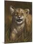 Baby Cub-Michael Jackson-Mounted Giclee Print