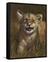 Baby Cub-Michael Jackson-Framed Stretched Canvas