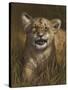 Baby Cub-Michael Jackson-Stretched Canvas