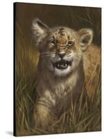 Baby Cub-Michael Jackson-Stretched Canvas