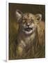 Baby Cub-Michael Jackson-Framed Giclee Print