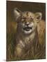 Baby Cub-Michael Jackson-Mounted Giclee Print