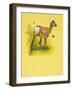 Baby Deer-null-Framed Giclee Print