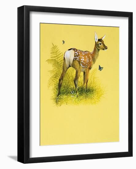 Baby Deer-null-Framed Giclee Print