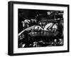 Baby Doll, Carroll Baker, 1956-null-Framed Photo