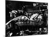 Baby Doll, Carroll Baker, 1956-null-Mounted Photo