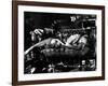 Baby Doll, Carroll Baker, 1956-null-Framed Photo