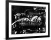 Baby Doll, Carroll Baker, 1956-null-Framed Photo