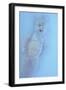 Baby Doll-Den Reader-Framed Photographic Print