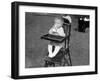 Baby Drinking Milk-null-Framed Premium Photographic Print