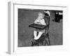 Baby Drinking Milk-null-Framed Photographic Print